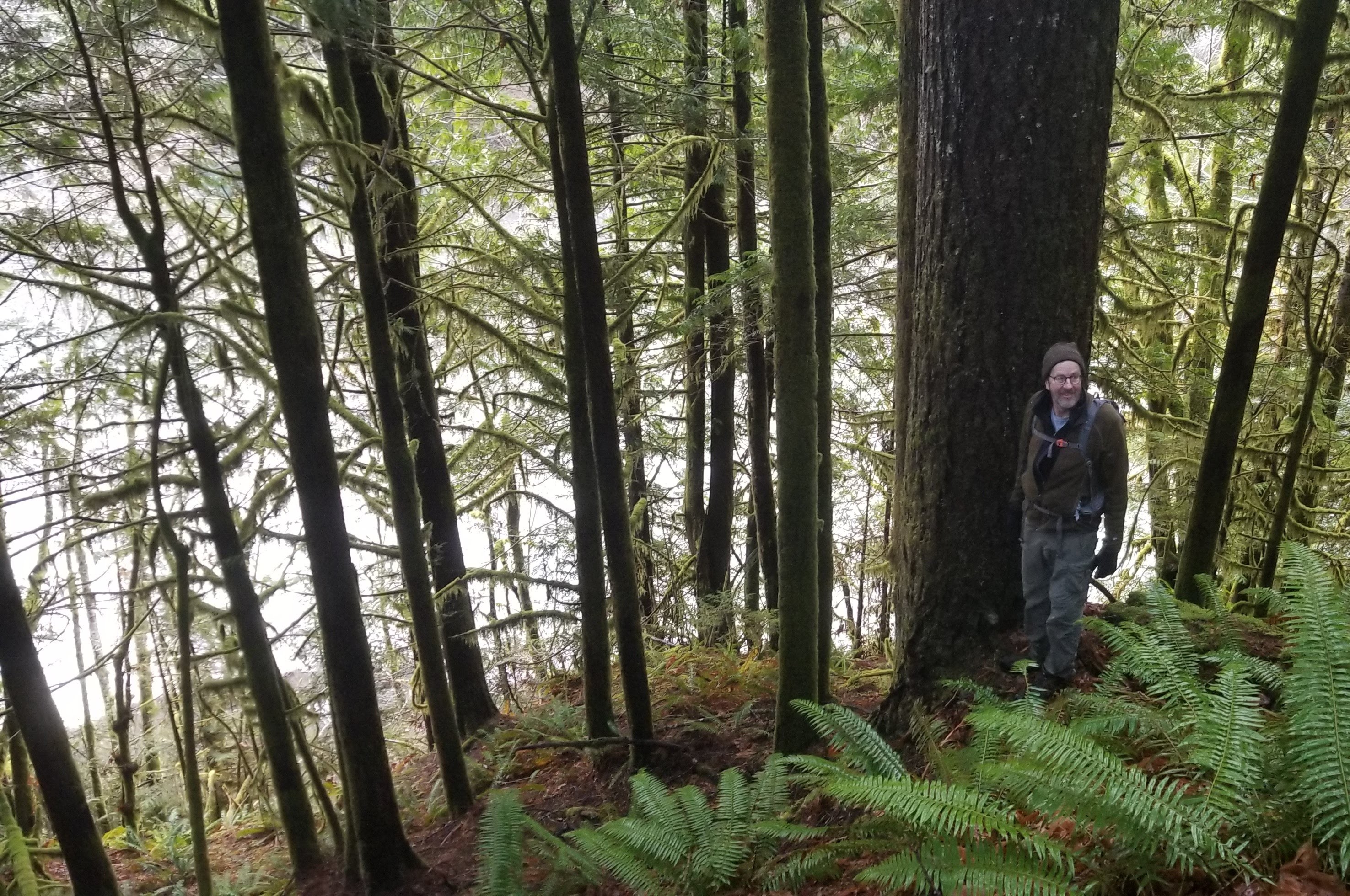 Typewriter on a desk by a window